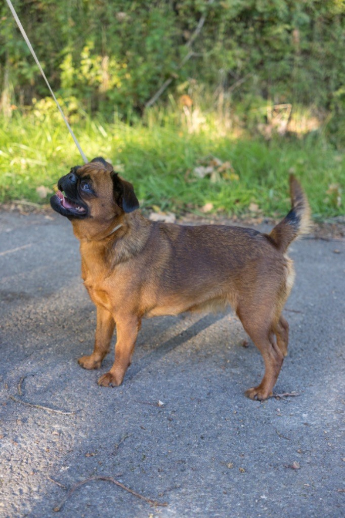 Ulule c?est chouette Du Domaine De Lorien